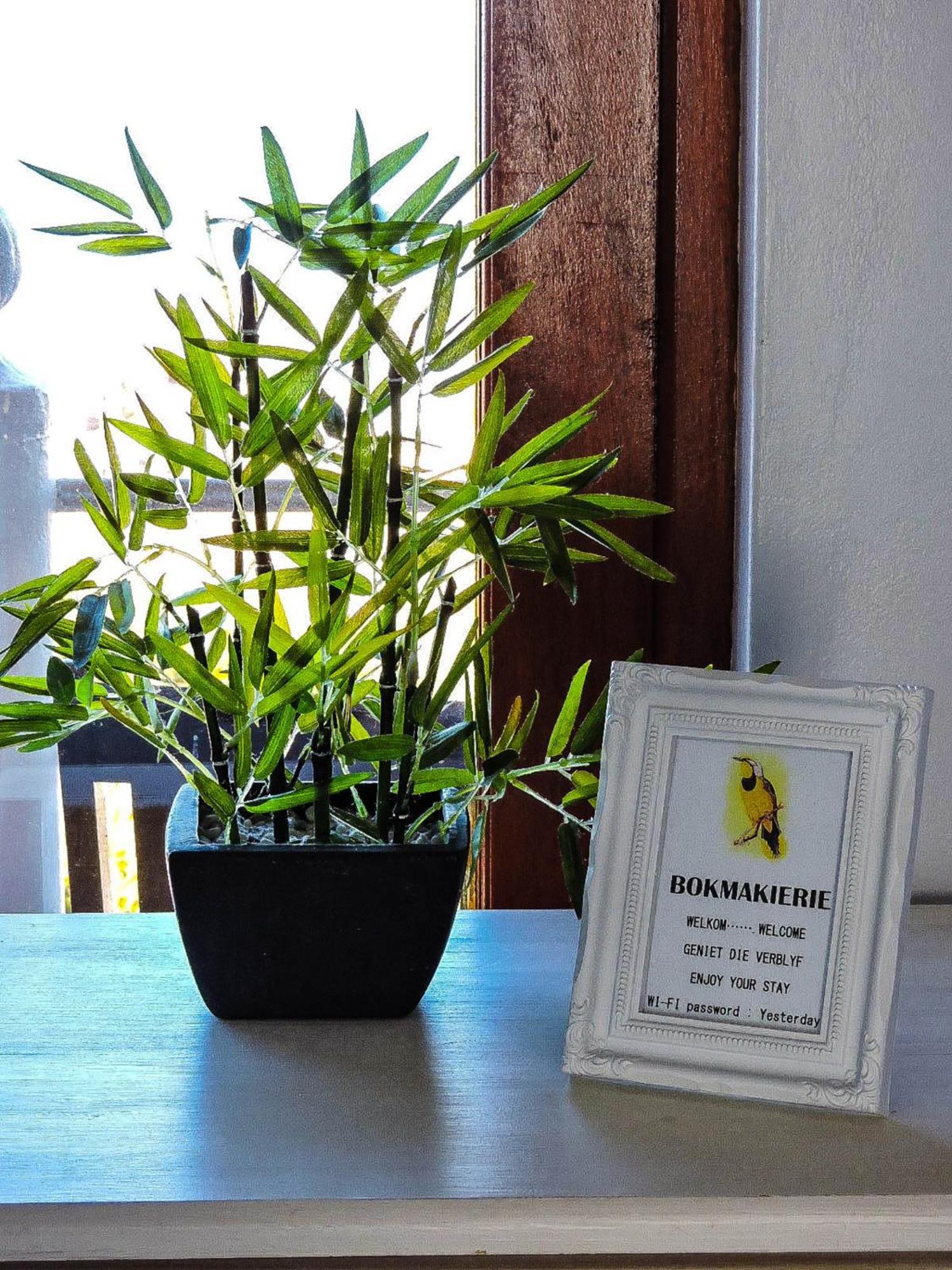 Amzee Bokmakierie Guest House Dana Bay Dış mekan fotoğraf