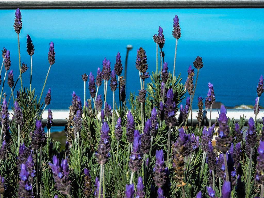 Amzee Bokmakierie Guest House Dana Bay Dış mekan fotoğraf